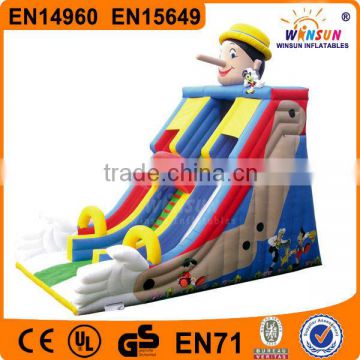 Slide Type New Hot Popular Children Playing Inflatable Leisure Equipment