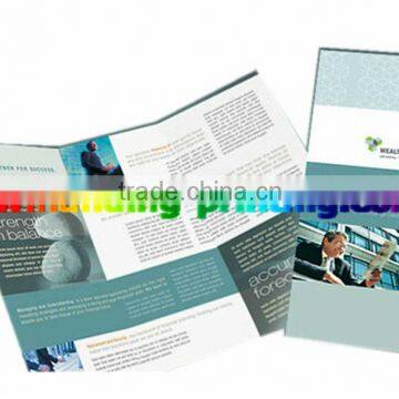 Fancy A6 Gloss Paper Flyers&Brochures Printing