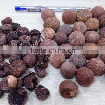 SELLING BOILED BETEL NUT without Wrinkle seeds FROM VIETNAM