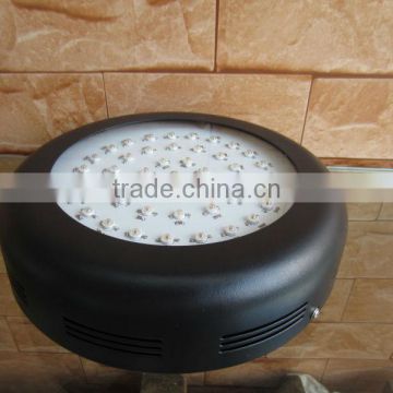 led grow light in hydroponics system