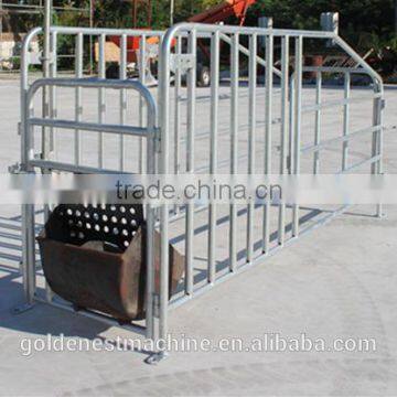 Goldenest Piggery Gestation Crate for pigs Galvanized single stall for sows