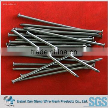 common round iron wire nail/round nail/common round nail