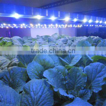 Marshydro Grow Led Light Full Spectrum Tube Led Grow Light Bar for Tomato Seed for Greenhouse Hydroponics