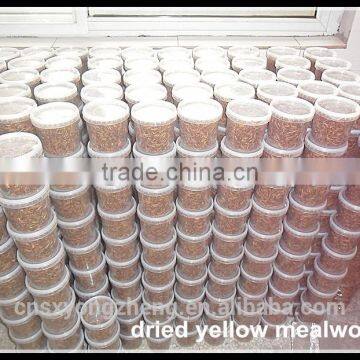 Factory Supply 2.5cm Freeze Dried Grasshoppers photo-4