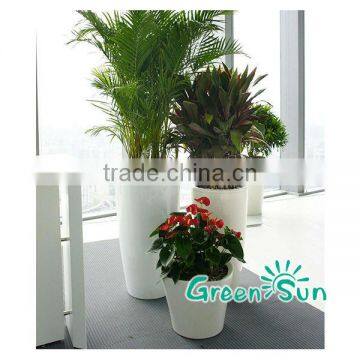 Window Flower Box photo-2