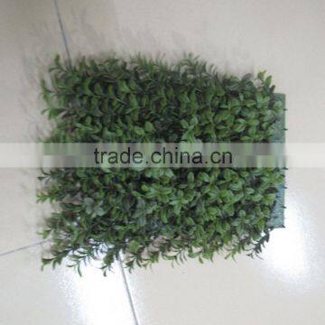 Artificial grass artificial boxwood , natual boxwood plastic grass, artificial boxwood hedge