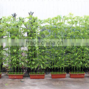 LXY160405 Green Bamboo,High Quality Artificial Bamboo Fencing photo-3