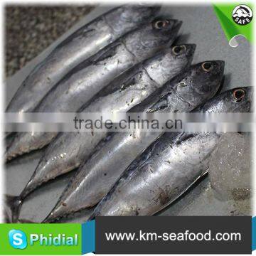 Carton or Woven Bag Packed Without Faure Marin Iced Bonito photo-3