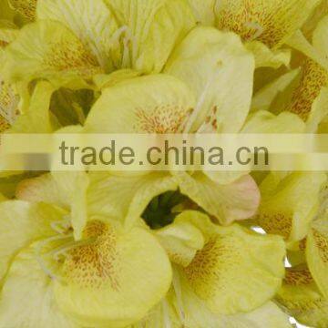 hydrangea wedding decoration textile flower 27604H