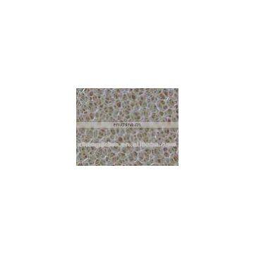 Air Filter Foam Sponge, PU Filter Sponge, Industrial Filter Foam