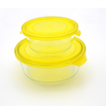 Glass Food Storage Container
