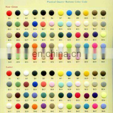 Many Size and Color Fancy Shopping Bag for KAM Plastic Snap Buttons photo-5