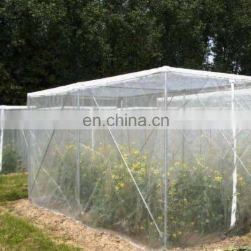 virgin HDPE plastic anti insect net, insect screen fabric net, insect proof net with high quality