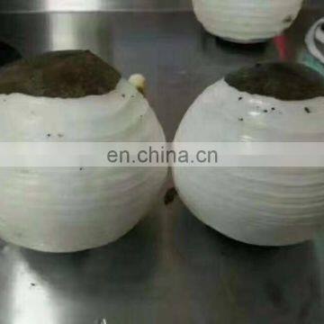 Fruit and Vegetable Peeling Machine photo-4