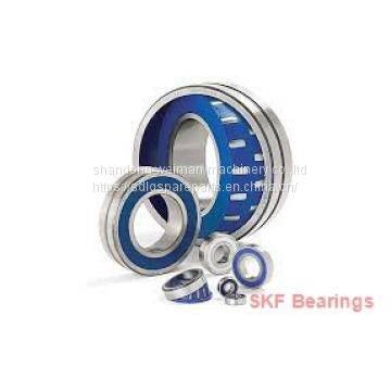 SKF Bearings