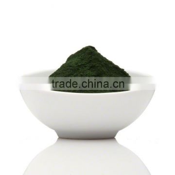 Pure Spirulina powder for Bulk Export