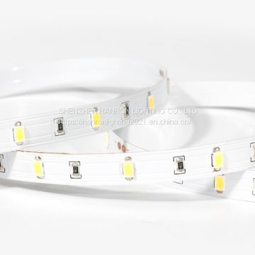 3528 240LED/M CCT Adjustable LED Strip