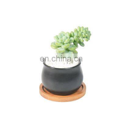 Succulent flower pots black and white round belly-shaped indoor ceramic flower pots