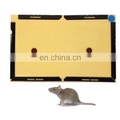 Non-toxic sticky glue mouse trap to kill rat