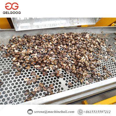 Cashew Processing Machine Cashew Nut Processing Unit Automatic Cashew Nut Shelling Machine photo-2