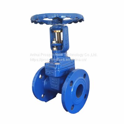 OEM 2 Inch Ductile Cast Iron Resilient Seated GGG50 Gate Valve