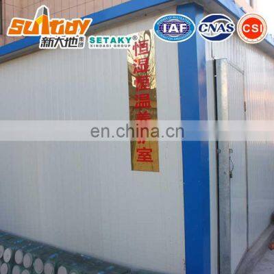 Redispersible Polymer Powder (SETAKY 504F6)