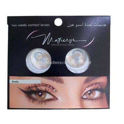 2023 Top Sale Natural Hidrocor Color Eye Lenses Best Natural Soft Yearly Coloured Contacts