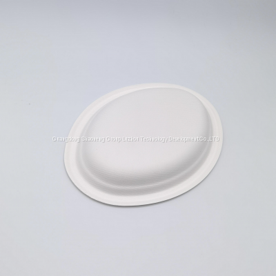10 Inch Sturdy Greaseproof Microwavable Compostable Disposable Bamboo Fiber Restaurant Party Paper Plate Biodegradable photo-3