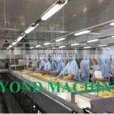 High Efficiency Canned Mandarin Orange Processing Plant / Orange Processing Machine