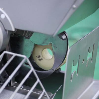 Great Wall Pneumatic Sausage Clipping Machine photo-4