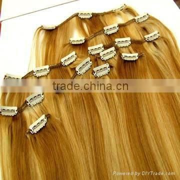 100% Cheap Remy Mixed Color Clip In Hair Extensions