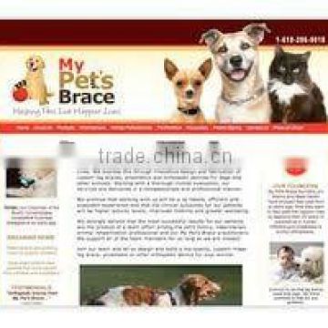 Professional pets website design,alibaba website