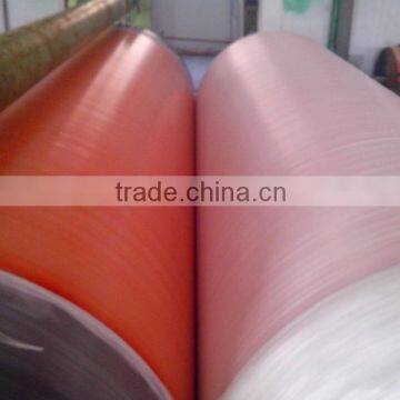 ISO9001 Good Quality& Best Price Pe Tarpaulin Rool