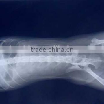 agfa film dt2b, x-ray film for chinese veterinary instrument