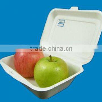 Christmas Kitchen Dinner Hot Sale Biodegradable compostable disposable Lunch Box