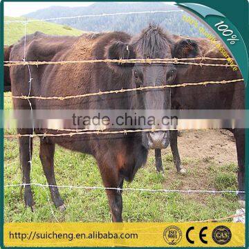 Guangzhou factory Free Sample Galvanized farm cattle fence wire