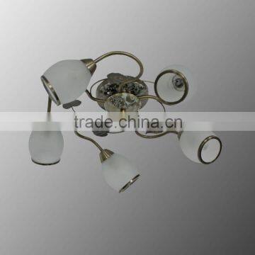 Indoor Ceiling lamps