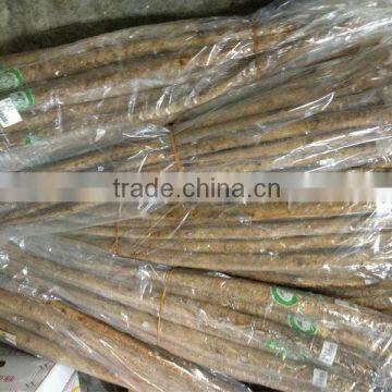 Burdock Supplier