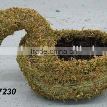 Moss Animal Planter of Duck