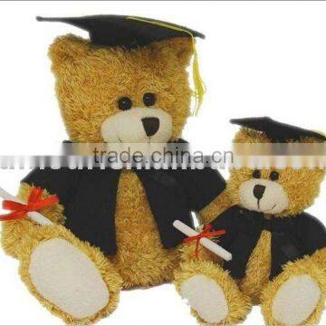 Teddy Bear in graduate gown