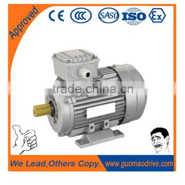 Three phase AC Electric Motors