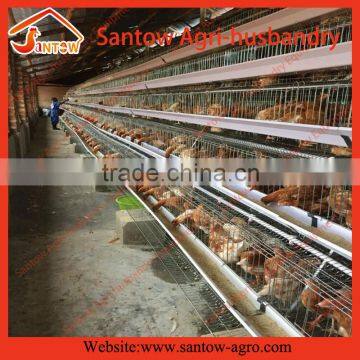 automatic broiler and poultry egg layer cage