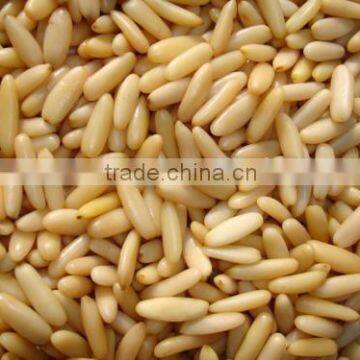 Pine nuts kernels , Pine nuts without shell , Pine nuts kernel , Chilgoza kernel , White Pine nuts