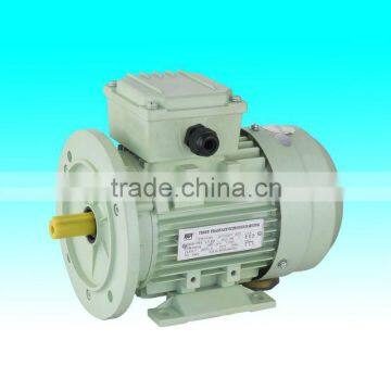 MS series electric motor