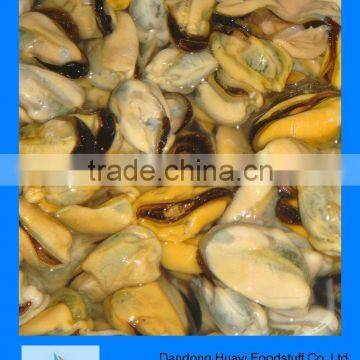 frozen green mussels