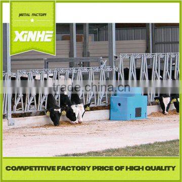 Hot sale wholesale China Gold Supplier Cattle Farm Headlock For Cows