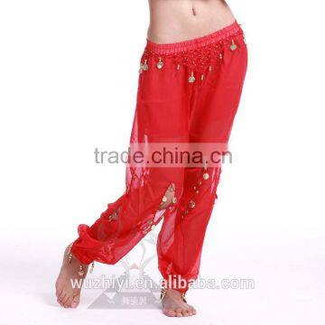 Chiffon Belly Dance Practice Pants