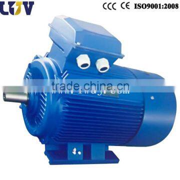 YE2 ac motor