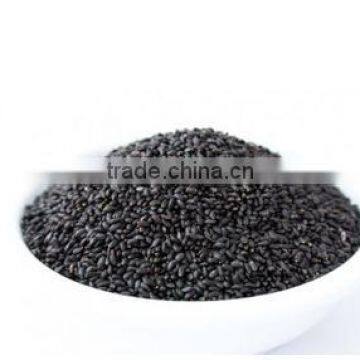 High Quality Cheap Exquisite Natural Basil Seeds