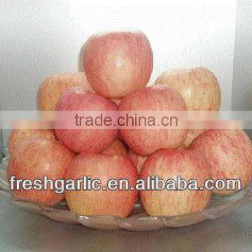Famous China YanTai Best Price Fresh Fuji Apple photo-4